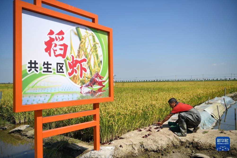 德赢vwin客户端下载